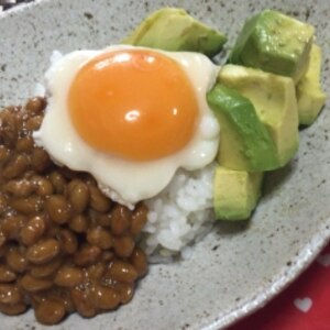 納豆アボカどん